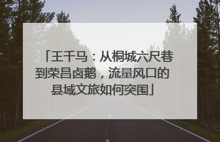 王千马：从桐城六尺巷到荣昌卤鹅，流量风口的县域文旅如何突围