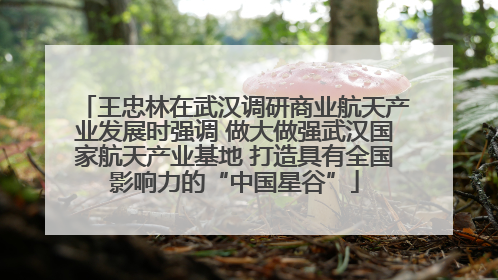 王忠林在武汉调研商业航天产业发展时强调 做大做强武汉国家航天产业基地 打造具有全国影响力的“中国星谷”
