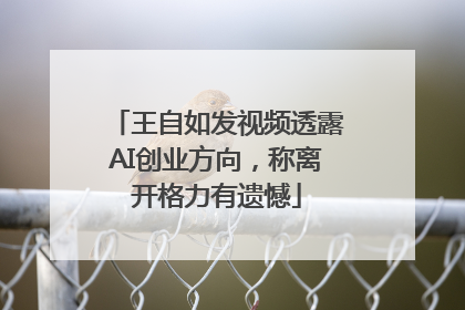 王自如发视频透露AI创业方向，称离开格力有遗憾
