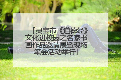 灵宝市《道德经》文化进校园之名家书画作品邀请展暨现场笔会活动举行