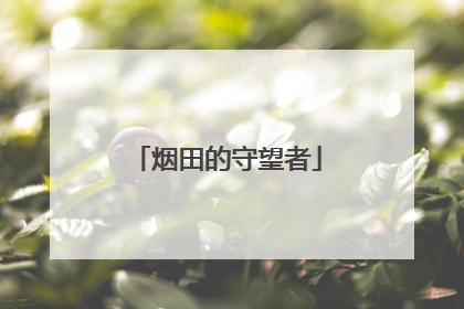 烟田的守望者