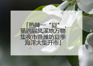 热辣一“夏”，第四届凤溪地万物集夜市暨潍坊夏季海洋大集开市