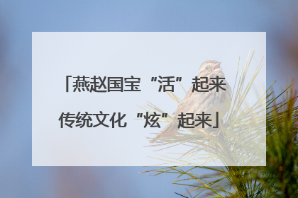 燕赵国宝“活”起来 传统文化“炫”起来