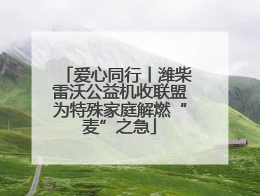 爱心同行丨潍柴雷沃公益机收联盟为特殊家庭解燃“麦”之急