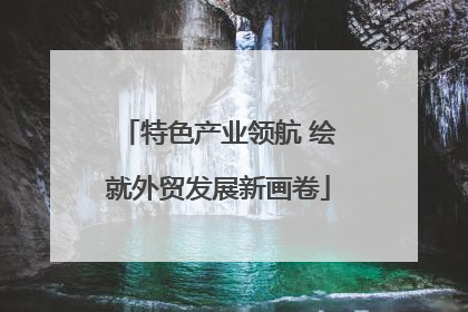 特色产业领航 绘就外贸发展新画卷