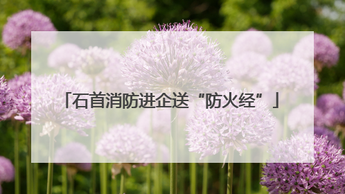 石首消防进企送“防火经”