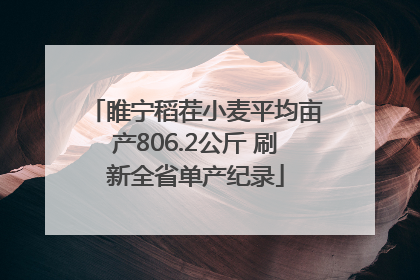 睢宁稻茬小麦平均亩产806.2公斤 刷新全省单产纪录