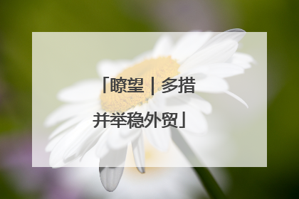 瞭望｜多措并举稳外贸