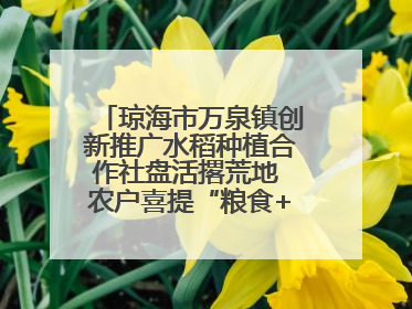 琼海市万泉镇创新推广水稻种植合作社盘活撂荒地 农户喜提“粮食+钞票”分红