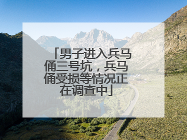 男子进入兵马俑三号坑，兵马俑受损等情况正在调查中