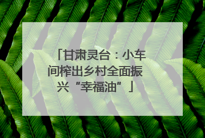 甘肃灵台：小车间榨出乡村全面振兴“幸福油”