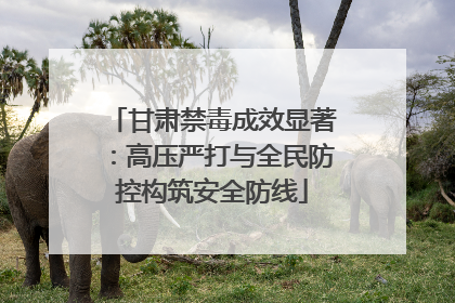 甘肃禁毒成效显著：高压严打与全民防控构筑安全防线