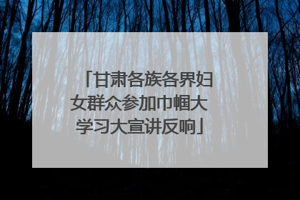 甘肃各族各界妇女群众参加巾帼大学习大宣讲反响