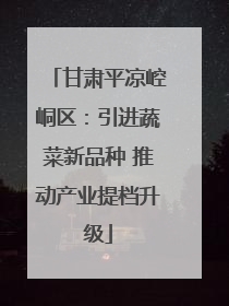 甘肃平凉崆峒区：引进蔬菜新品种 推动产业提档升级