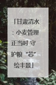甘肃清水：小麦管理正当时 守护粮“芯”绘丰景