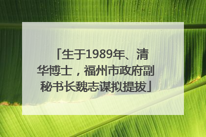 生于1989年、清华博士，福州市政府副秘书长魏志谋拟提拔