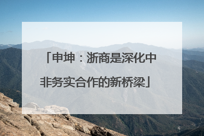 申坤：浙商是深化中非务实合作的新桥梁