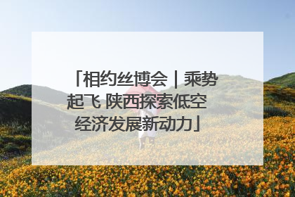 相约丝博会｜乘势起飞 陕西探索低空经济发展新动力