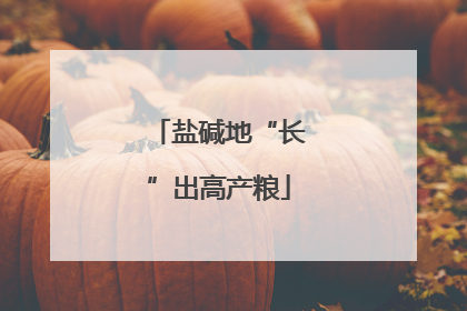 盐碱地“长”出高产粮