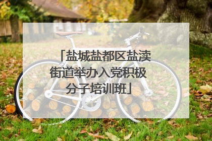 盐城盐都区盐渎街道举办入党积极分子培训班