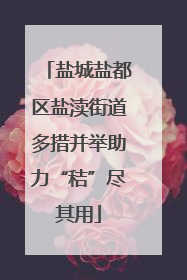 盐城盐都区盐渎街道多措并举助力“秸”尽其用