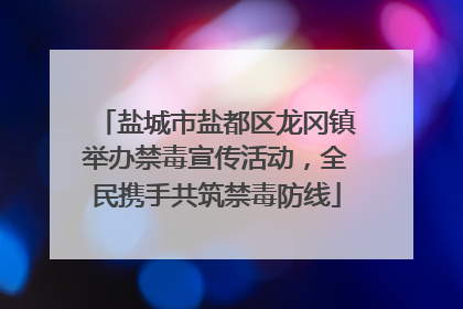 盐城市盐都区龙冈镇举办禁毒宣传活动，全民携手共筑禁毒防线