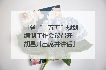 省“十五五”规划编制工作会议召开 胡昌升出席并讲话