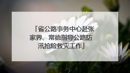省公路事务中心赴张家界、常德指导公路防汛抢险救灾工作