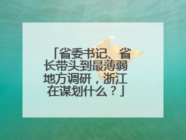 省委书记、省长带头到最薄弱地方调研，浙江在谋划什么？