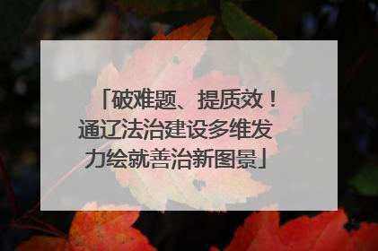 破难题、提质效！通辽法治建设多维发力绘就善治新图景