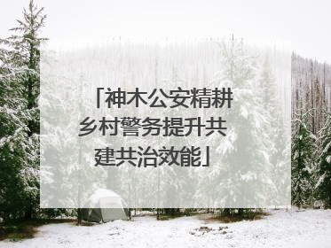 神木公安精耕乡村警务提升共建共治效能