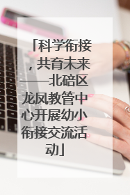科学衔接，共育未来——北碚区龙凤教管中心开展幼小衔接交流活动