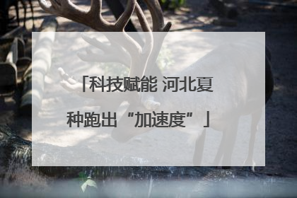 科技赋能 河北夏种跑出“加速度”