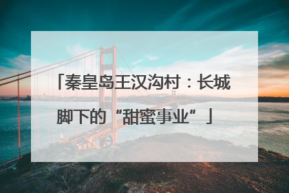 秦皇岛王汉沟村：长城脚下的“甜蜜事业”