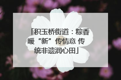 积玉桥街道：粽香暖“新”传情意 传统非遗润心田