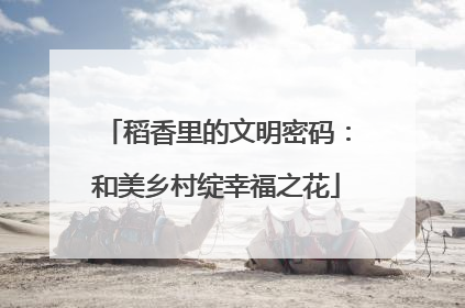 稻香里的文明密码：和美乡村绽幸福之花