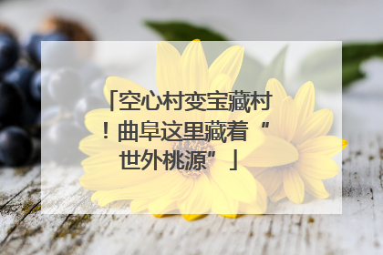 空心村变宝藏村！曲阜这里藏着“世外桃源”