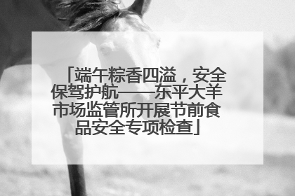 端午粽香四溢，安全保驾护航——东平大羊市场监管所开展节前食品安全专项检查