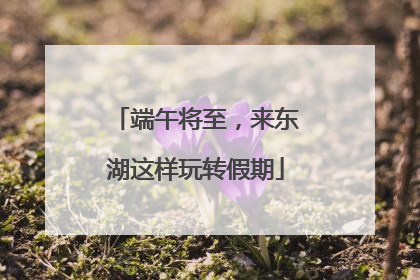 端午将至，来东湖这样玩转假期