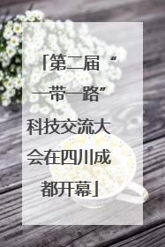 第二届“一带一路”科技交流大会在四川成都开幕