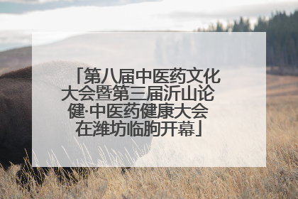 第八届中医药文化大会暨第三届沂山论健·中医药健康大会在潍坊临朐开幕