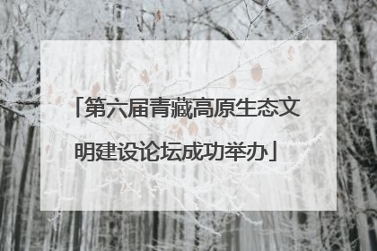 第六届青藏高原生态文明建设论坛成功举办