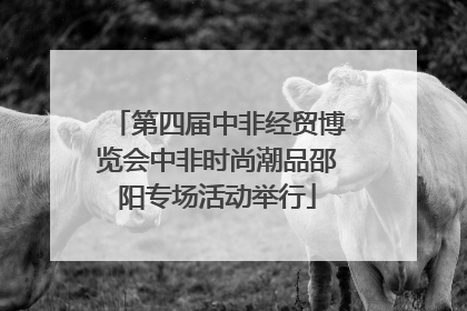 第四届中非经贸博览会中非时尚潮品邵阳专场活动举行