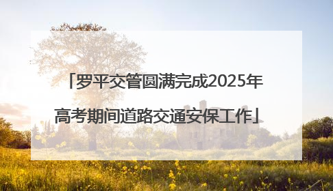 罗平交管圆满完成2025年高考期间道路交通安保工作