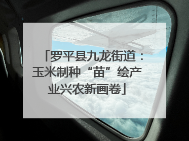 罗平县九龙街道：玉米制种“苗”绘产业兴农新画卷