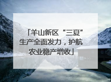 羊山新区“三夏”生产全面发力，护航农业稳产增收
