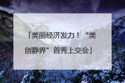 美丽经济发力！“美创静界”首秀上交会