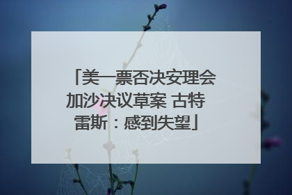 美一票否决安理会加沙决议草案 古特雷斯：感到失望