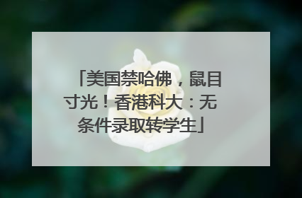 美国禁哈佛，鼠目寸光！香港科大：无条件录取转学生