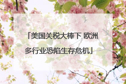 美国关税大棒下 欧洲多行业恐陷生存危机